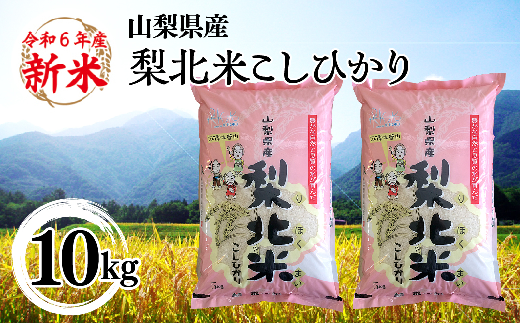 【山梨のブランド米】 山梨県産 梨北米こしひかり　10kg（5kg×2） 115-009