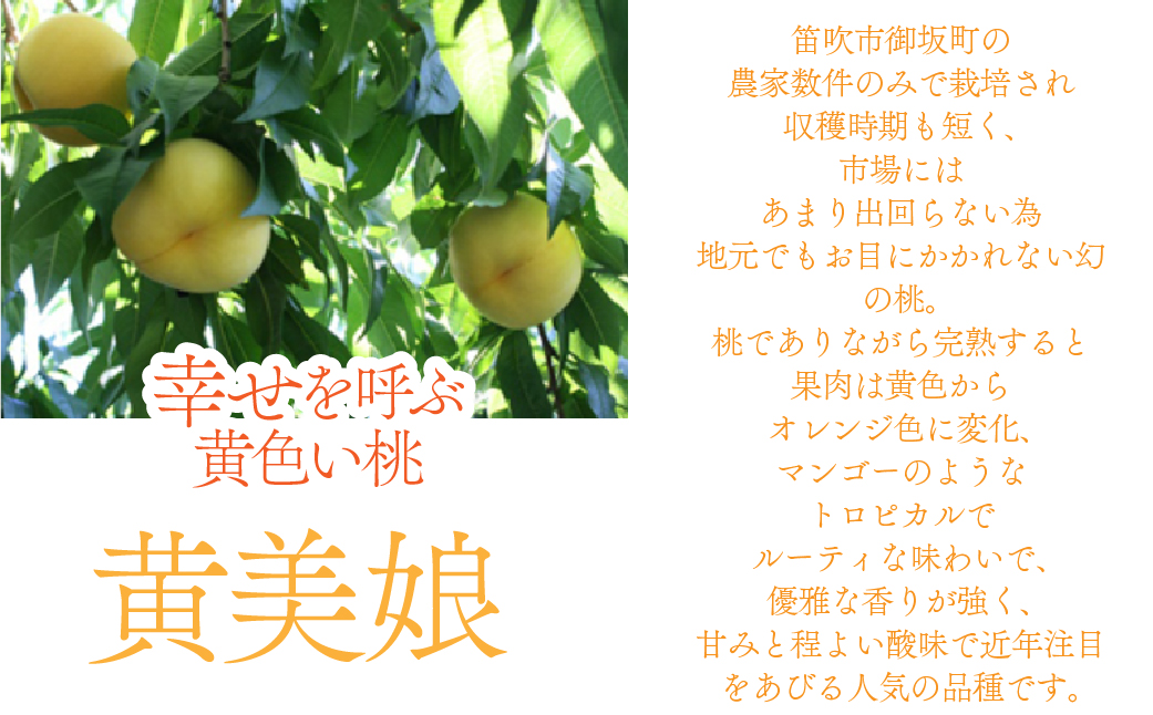 鮟鄒主ィ假シ逋ス譯繝ュ繝シ繝ォ繧ア繝シ繧ュ 019-002