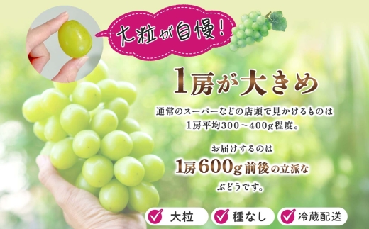 【2026年発送★先行予約】定期便全2回 桃 秀品 1.5kg 大糖領 シャインマスカット 1房 600g クール便　177-020-26y