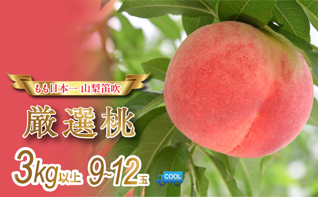 ＜25年発送先行予約＞ 産地厳選日本一笛吹市の桃3kg以上（9玉〜12玉） 106-009