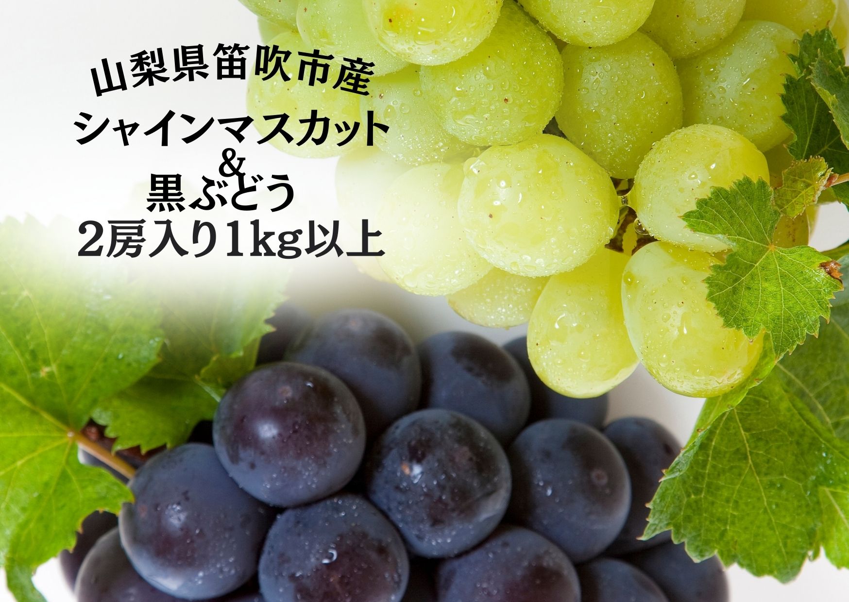 ＜25年発送先行予約＞笛吹市産旬の葡萄２房入り２色セット 1kg以上 167-142