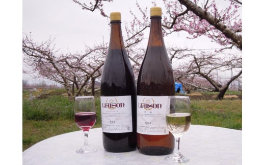 リエゾン一升瓶味くらべセット