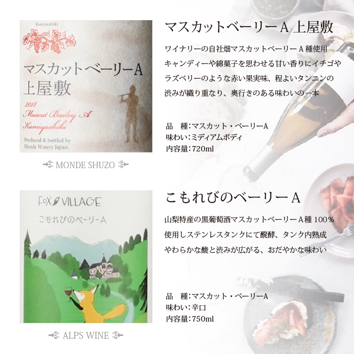 山梨のワイン厳選10本セット 127-028