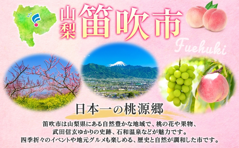 缶ワイン 欲張り10種 飲み比べセット モンデ酒造 10本 177-4-043