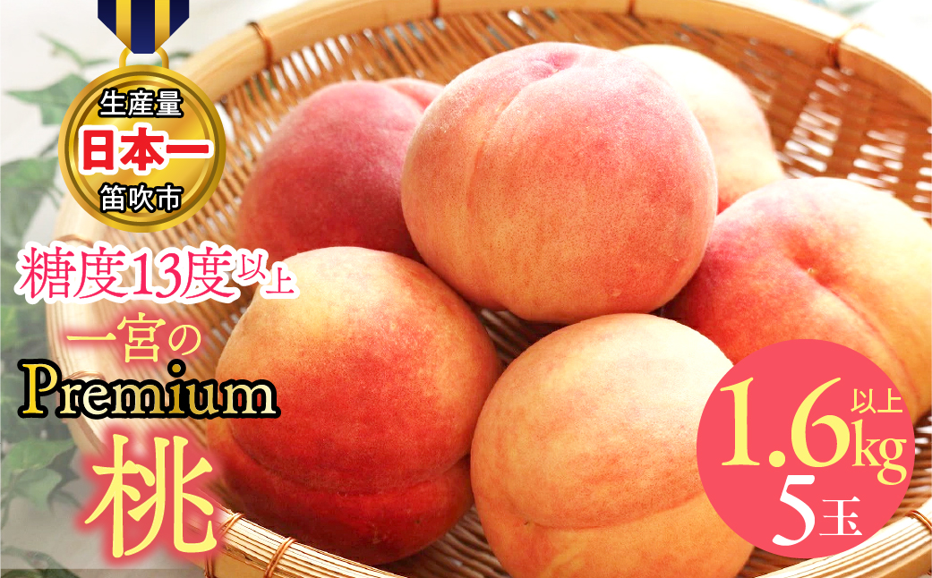 ç³åºŠ13床以äžããæé«å質ãéå®åãäžå®®ã®ãã¬ãã¢ã æ¡ã1.6ïœïœä»¥äžïŒ5çïŒ 168-004