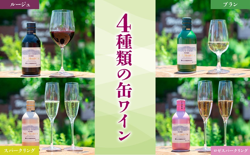 【モンデ酒造ふるさと納税】プティモンテリアシリーズ各種6本セット（やや辛口/白・やや重口/赤・やや辛口/白スパークリングワイン・やや辛口/ロゼスパークリングワイン 全24本）018-018