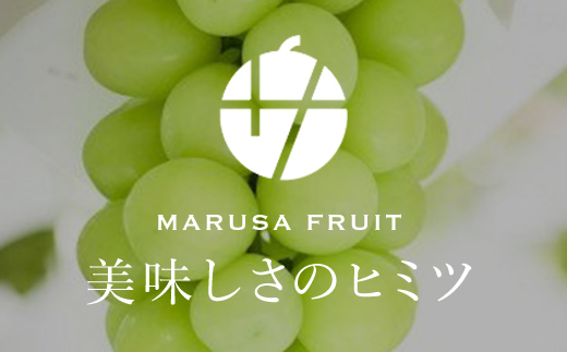 ＜25年発送先行予約＞シャインマスカット 約1.1kg以上 山梨県笛吹市一宮産 朝採り 産地直送 088-023