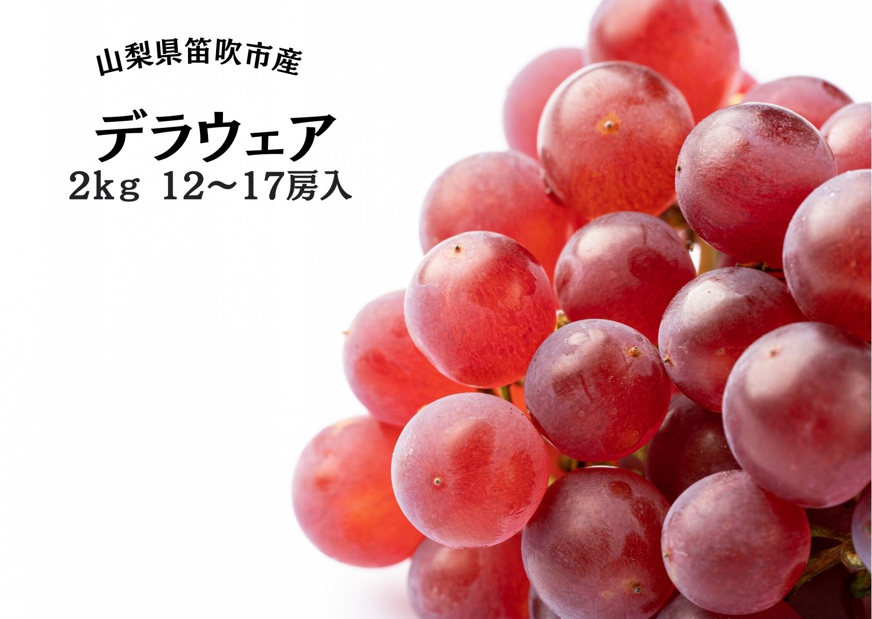 ＜25年発送先行予約＞笛吹市産デラウェア12～17房 2kg 167-051