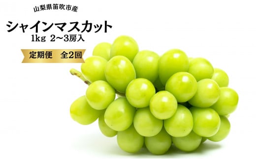 ＜2025年発送先行予約＞葡萄の一大産地！笛吹市産シャインマスカット定期便×２回 167-015 ※沖縄・離島配送不可