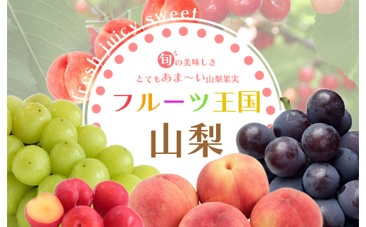 山梨の美味しいフルーツ全２回定期便 シャインマスカット・桃 154-100