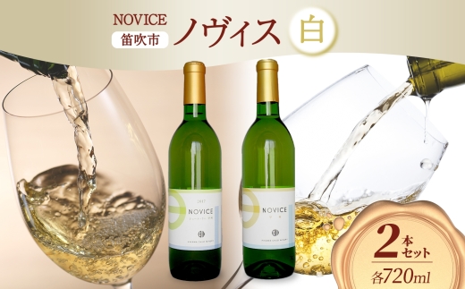 白ワイン NOVICE ノヴィス 白 2種 セット シュール・リー 甲州＆甲州 720ml 各1本 計2本 フルボトル 日川中央葡萄酒 山梨県 笛吹市 177-7-21