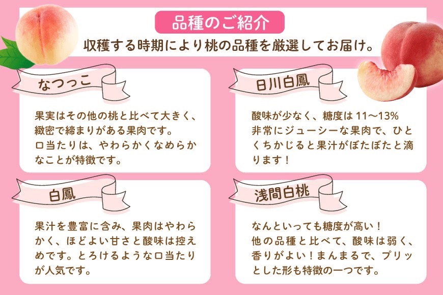 ＜25年発送先行予約＞笛吹市産　厳選！桃［3kg］（7～12玉入）フルーツ大国！山梨県笛吹市より産地直送 209-002 OUTTA REACH JAPAN