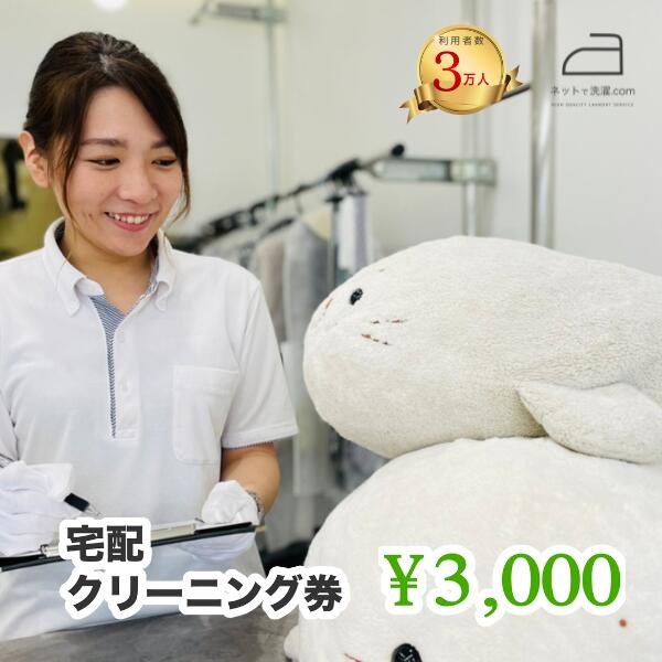 ネットで洗濯クリーニング券3,000円分 166-004