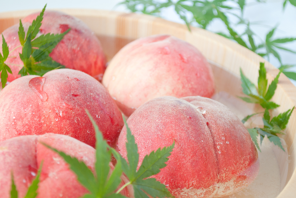 ç³åºŠ13床以äžããæé«å質ãéå®åãäžå®®ã®ãã¬ãã¢ã æ¡ã1.6ïœïœä»¥äžïŒ5çïŒ 168-004