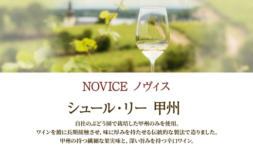 白ワイン NOVICE ノヴィス 白 2種 セット シュール・リー 甲州＆甲州 720ml 各1本 計2本 フルボトル 日川中央葡萄酒 山梨県 笛吹市 177-7-21