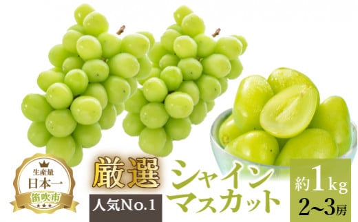 【2026年発送★先行予約】厳選!!池田青果のシャインマスカット1.0kg 2~3房 173-006-26y