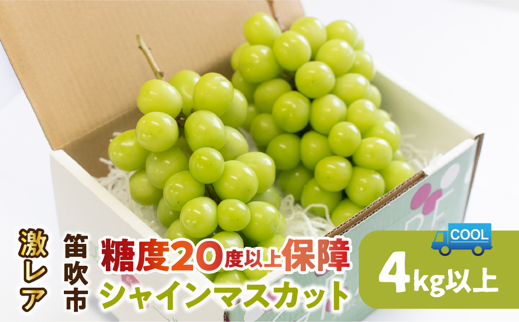  ＜25年発送先行予約＞激レア！！シャインマスカット糖度20度以上保障4kg以上 106-005