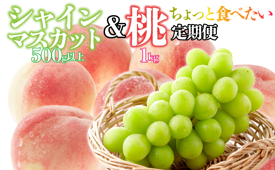 ＜25年発送先行予約＞【ちょっと食べたい定期便】桃 約1kg(3～4玉)×シャインマスカット500g以上 126-024