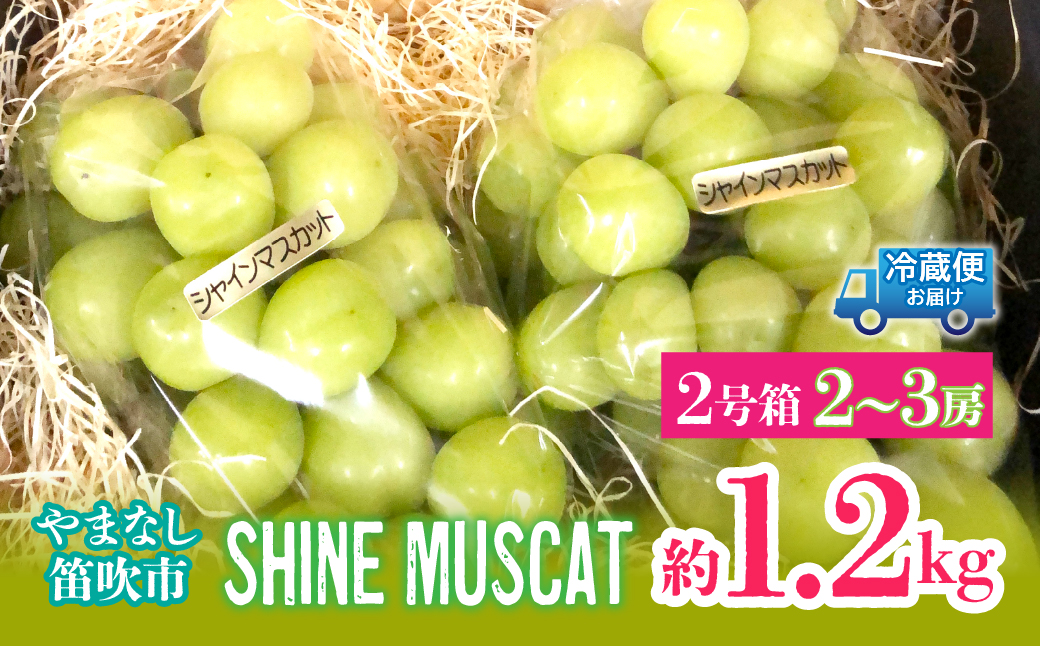 ＜25年発送先行予約＞シャインマスカット2号箱　約1.2kg（2～3房入） 214-001