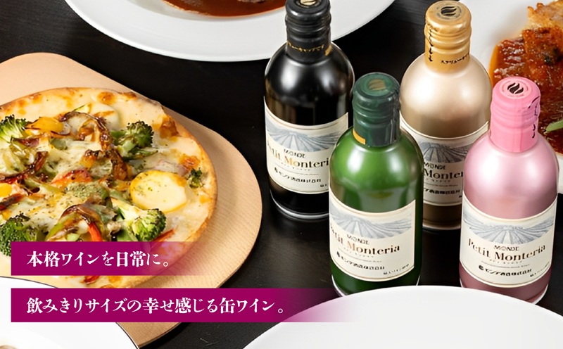 【モンデ酒造ふるさと納税】プティモンテリアシリーズ各種6本セット（やや辛口/白・やや重口/赤・やや辛口/白スパークリングワイン・やや辛口/ロゼスパークリングワイン 全24本）018-018