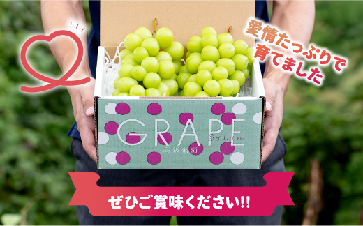 ＜25年発送先行予約＞産地厳選シャインマスカット1.2kg〜1.3kg（2房〜3房）※沖縄・離島配送不可※ 106-003