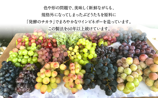 【満点☆青空レストランで紹介されました！】ドリンクビネガー(ぶどう720ml)　2本セット 182-009