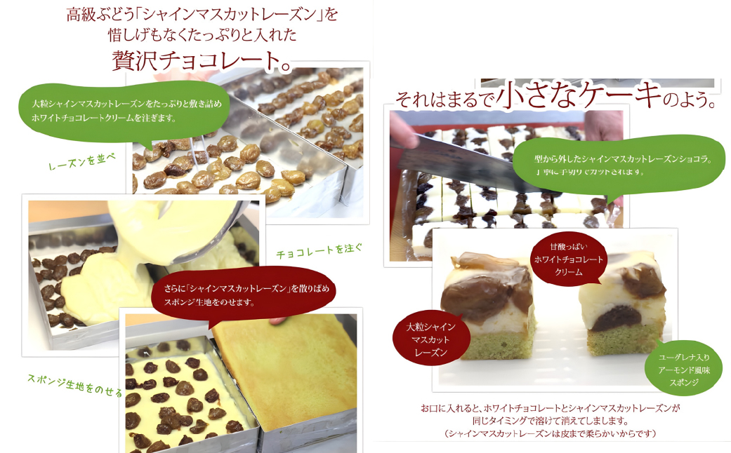 繧キ繝」繧、繝ウ繝槭せ繧ォ繝繝医Ξ繝シ繧コ繝ウ繧キ繝ァ繧ウ繝ゥシ逕溘け繝ゥ繧キ繝繧ッ繧キ繝ァ繧ウ繝ゥ 019-001