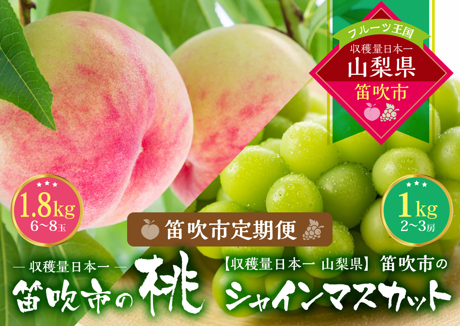 【2026年発送★先行予約】『山梨夏の味覚定期便』笛吹市産旬の桃とシャインマスカット各１回 167-014-26y