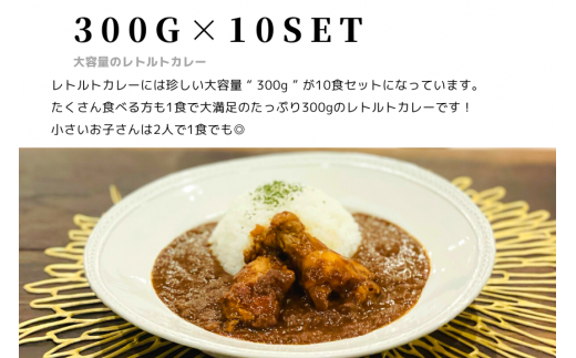 【キャンプカレー】大容量300gのレトルトカレー10食セット！ 166-007