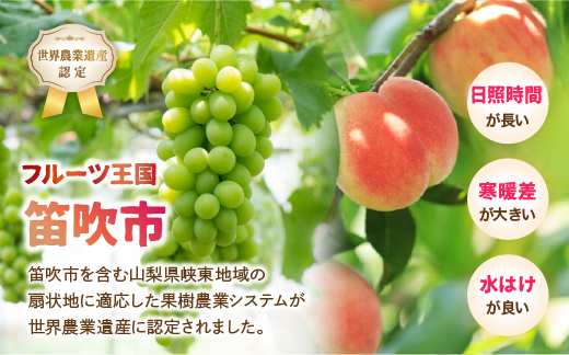 縲2026蟷エ逋コ騾≫蜈郁。御コ育エ縲代宣谺。逋コ騾√ 逕」蝨ー蜴ウ驕ク繧キ繝」繧、繝ウ繝槭せ繧ォ繝繝1.2kgス1.3kgシ2謌ソス3謌ソシ106-003-sku03-26y