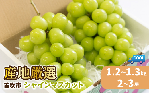 ＜25年発送先行予約＞産地厳選シャインマスカット1.2kg〜1.3kg（2房〜3房）※沖縄・離島配送不可※ 106-003