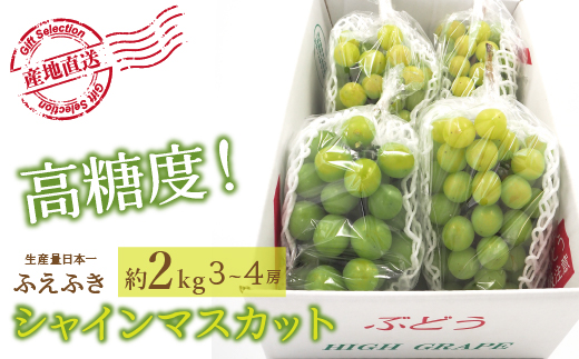 ＜25年発送先行予約＞厳選！山梨県笛吹市産 シャインマスカット 約2.0kg（3〜4房） 156-001