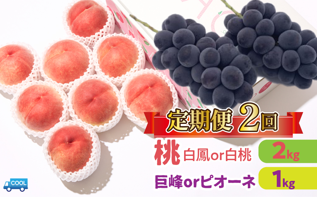 ＜25年発送先行予約＞【2回定期便】桃・巨峰orピオーネ 106-024