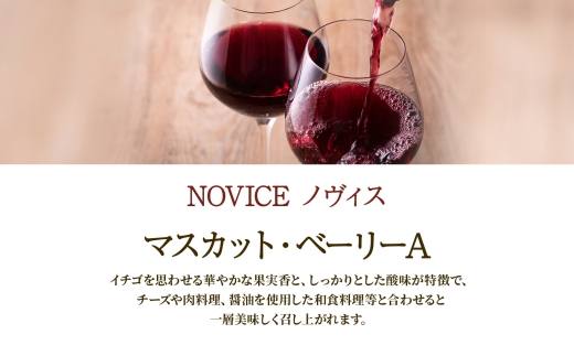 ワイン NOVICE 赤＆白 飲み比べ セット 720ml 各1本 計2本 フルボトル 甲州 マスカット ベーリーA ミディアム 辛口 日川中央葡萄酒 山梨県 笛吹市 177-7-20