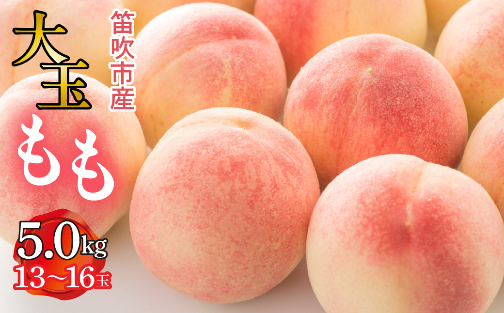 【2026年発送★先行予約】笛吹市産　大玉もも　5.0kg(13～16玉) 227-010-26y
