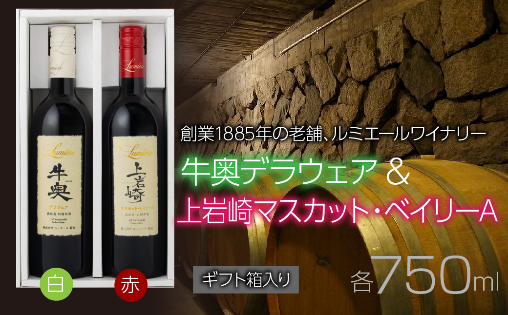 ルミエール　牛奥デラウェア & 上岩崎マスカット・ベイリーA 【ギフト箱入】　ギフトセット　ワインセット　日本ワイン 063-022