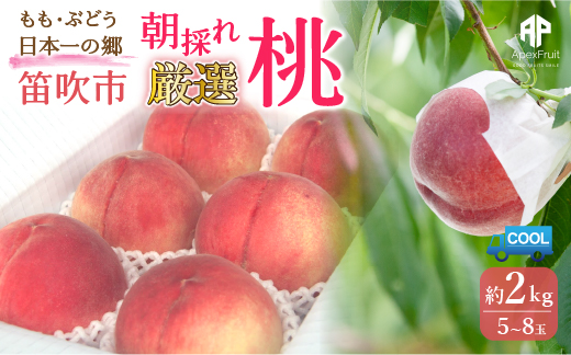 【2026年発送★先行予約】笛吹市産　厳選! 旬の桃 約2kg (5~8玉) 205-001-26y