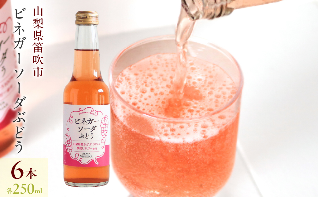 ビネガーソーダぶどう6本セット 182-030