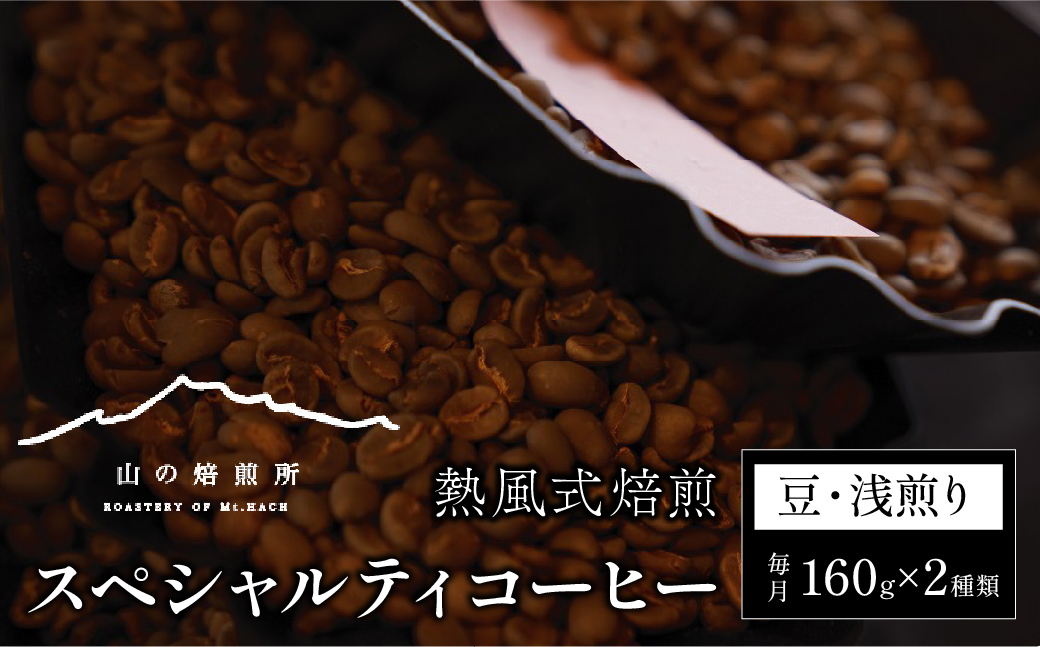 【山の焙煎所】スペシャルティコーヒー160g×2種：豆　浅煎り