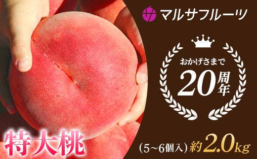 ＜25年発送先行予約＞特大桃 5〜6個入り 約2.0kg 山梨一宮産の桃 朝採り 産地直送 088-001