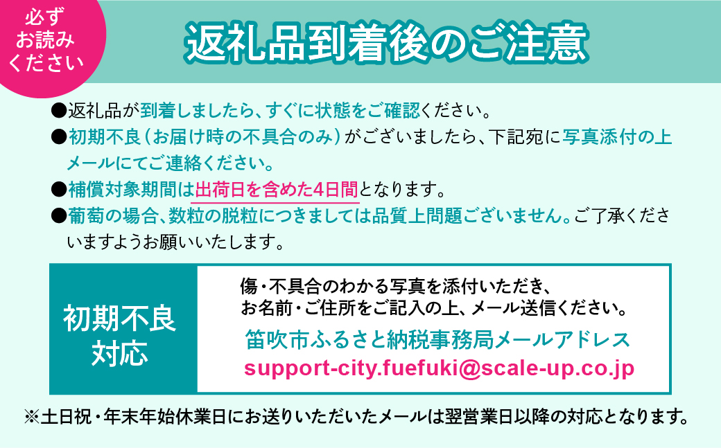 【2026年発送★先行予約】笛吹市産旬の葡萄２房入り２色セット 1kg以上 167-142-26y