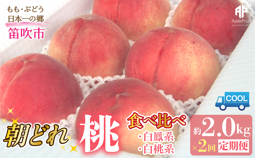 【2026年発送先行予約】笛吹市産　山梨朝どれ桃2kg×2回配送（白鳳系・白桃系） 定期便 2回（クール便） 205-023