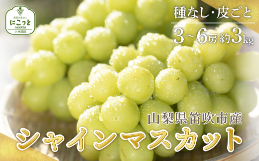 ＜25年発送先行予約＞シャインマスカット 3?6房 約3.0kg ※沖縄県・離島は発送不可 097-014