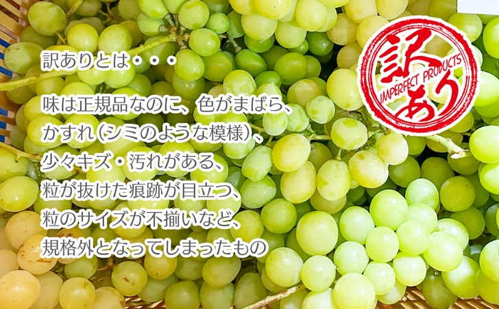 【2026年発送★先行予約】【訳あり品】山梨県産シャインマスカット2房～4房(合計1kg程度)　229-009-26y