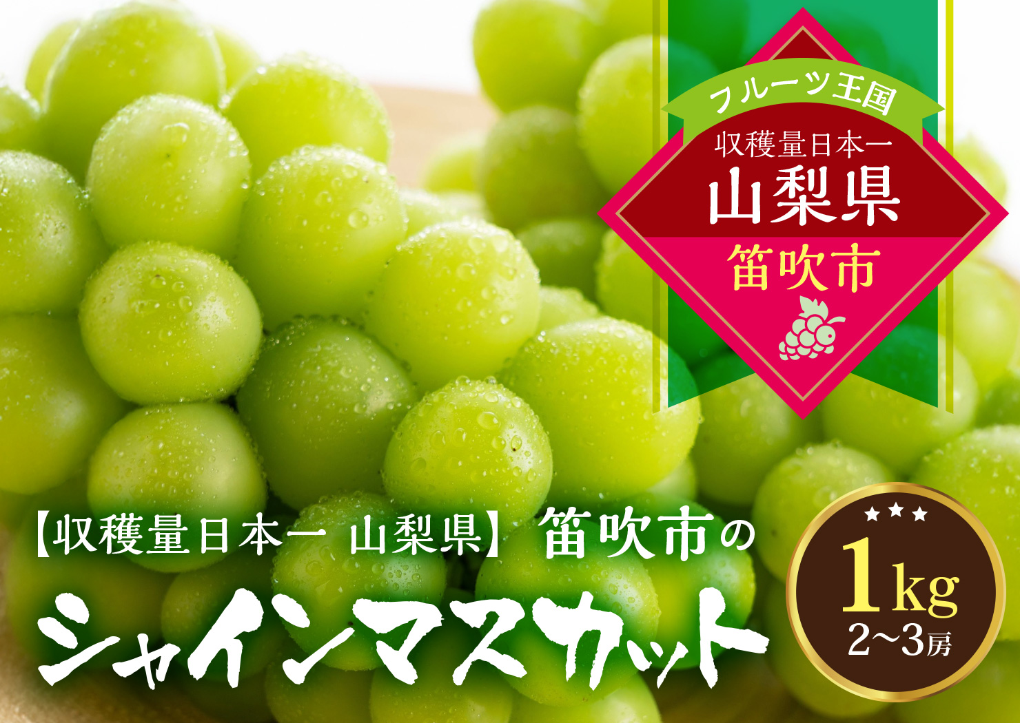 【2026年発送★先行予約】葡萄の一大産地！笛吹市産シャインマスカット1kg 167-002-26y