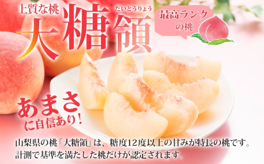 【2026年発送★先行予約】定期便全2回 桃 秀品 1.5kg 大糖領 シャインマスカット 1房 600g クール便　177-020-26y