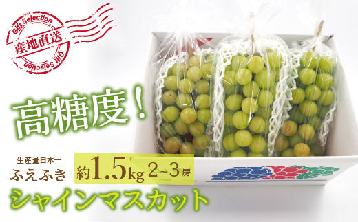 ＜25年発送先行予約＞厳選！山梨県笛吹市産 シャインマスカット 約1.5kg(2〜3房) 156-006