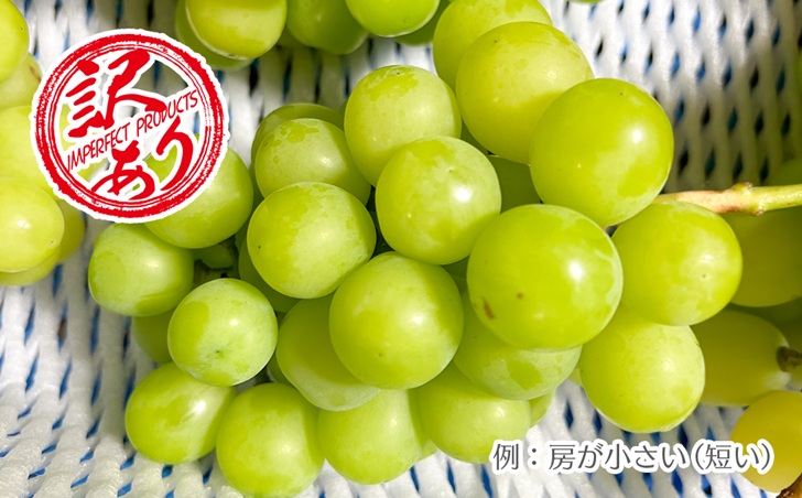 【2026年発送★先行予約】【訳あり品】山梨県産シャインマスカット2房～4房(合計1kg程度)　229-009-26y