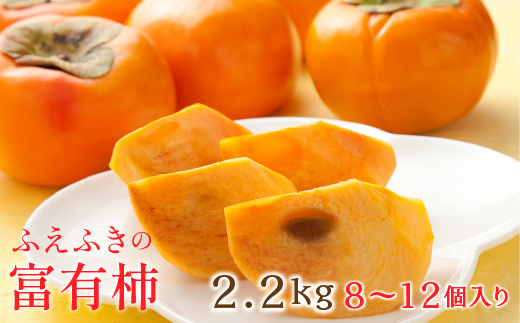 ＜25年発送先行予約＞山梨県笛吹市石和町産　富有柿 2.2kg 8〜12個入り 126-012