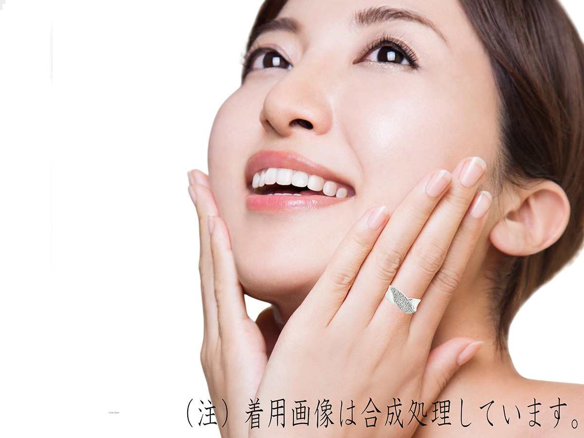 PT900縲繝繧、繝、繝「繝ウ繝峨Μ繝ウ繧ー縲RADR-3083 188-093